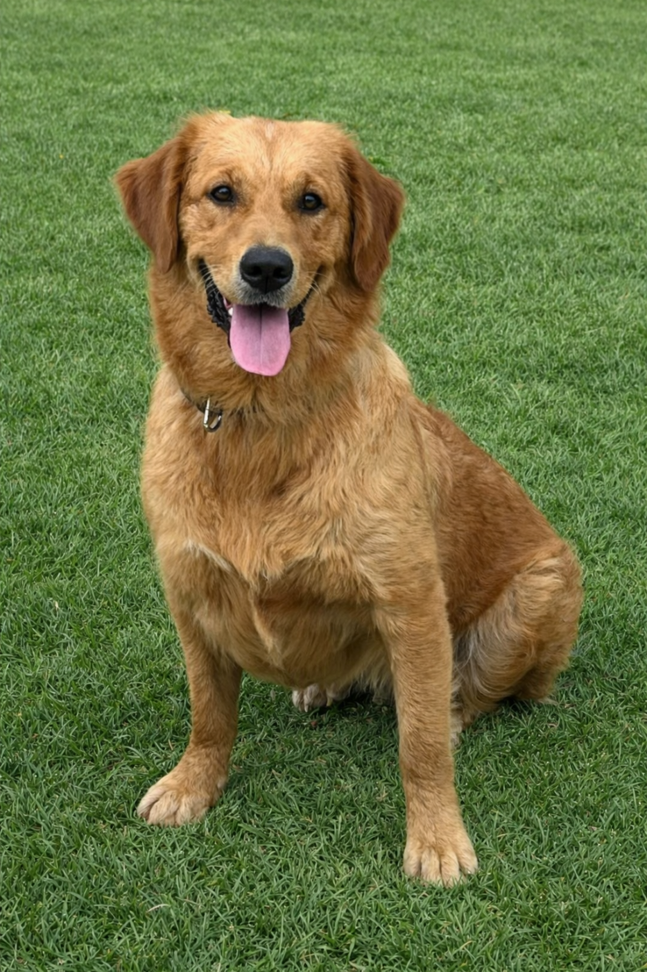 Vaillana (Sans Affixe)